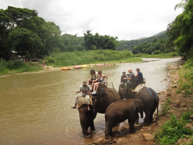 Elephant Rides in Chiang Mai, Thailand 